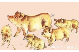 姓名与缘分配对测试，命运之歌的交织